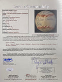 1980 Philadelphia Phillies (29) Signed Official NL Baseball Carlton +28 JSA LOA