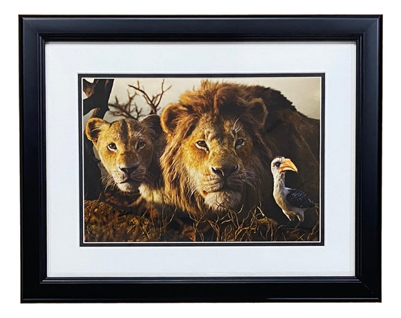 The Lion King Framed 11x14 Live Action Photo