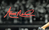 Aaron Nola Signed Philadelphia Phillies 11x14 Spotlight Photo Fanatics Sports Integrity