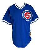 Andre Dawson Signed Cubs M&N Mesh Batting Practice Jersey HOF 2010 Fanatics