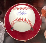 Bryce Harper Signed MLB Baseball w/ Philadelphia Phillies Shadowbox Fanatics