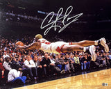 Dennis Rodman Signed 16x20 Chicago Bulls Photo BAS