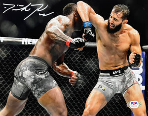 Dominick Reyes Signed 8x10 UFC Photo PSA