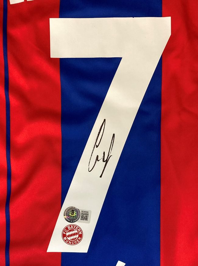 Franck Ribery Number