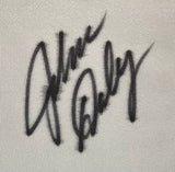 John Daly Signed John Daly Logo Golf Flag JSA Sports Integrity