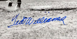 Ted Williams Signed Framed 16x20 Boston Red Sox Front Swing Photo PSA/DNA LOA